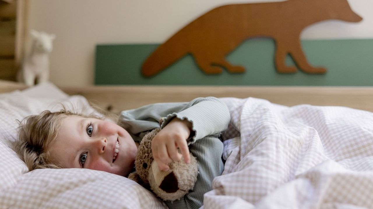 Fewo baumWipfel: Schlafhöhle Fewo baumWipfel: Schlafhöhle